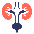 Urology
